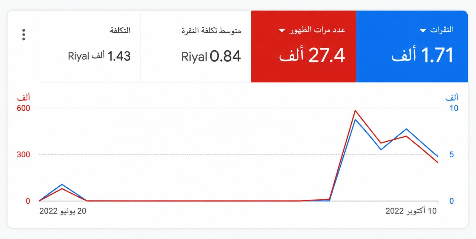 Google Ads campaign result 1